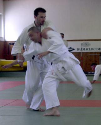 Marko i Darko: irimi nage